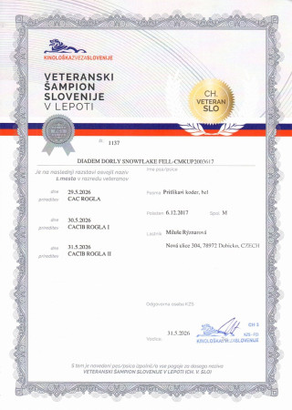Slovinský Veterán šampion